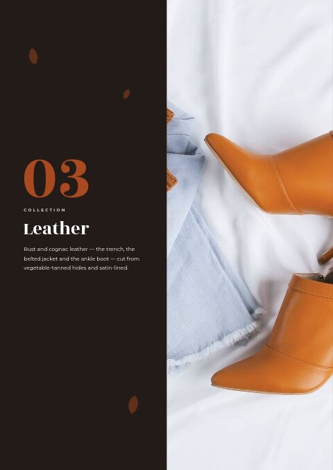 Fall Collection — Collection Divider page