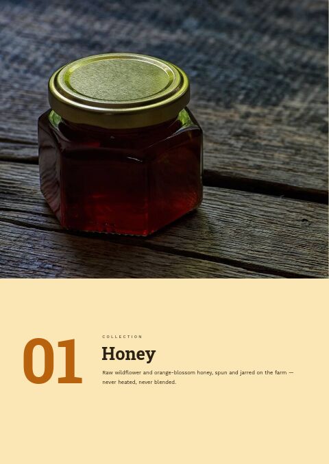 Food & Beverage Catalog — Collection Divider page