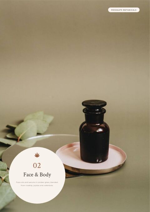 Health & Wellness Catalog — Collection Divider page