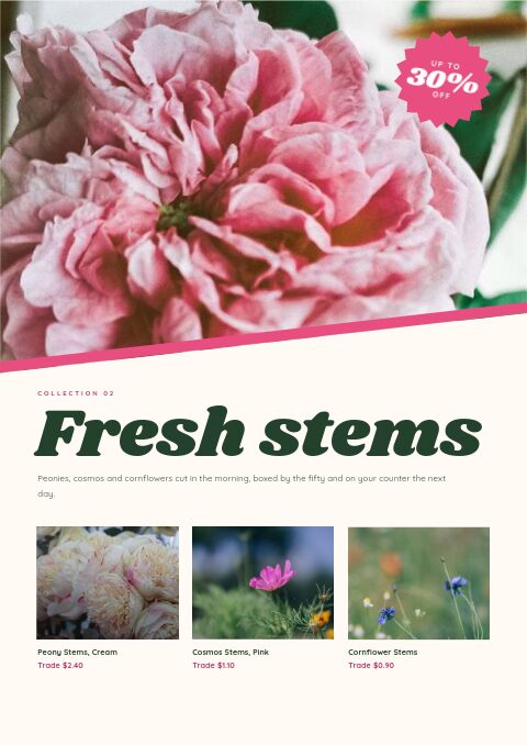 Spring Sale — Collection Divider page