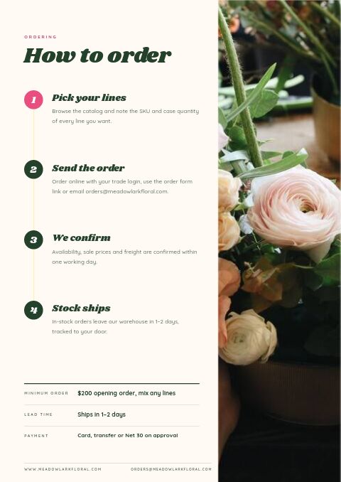 Spring Sale — How to Order page
