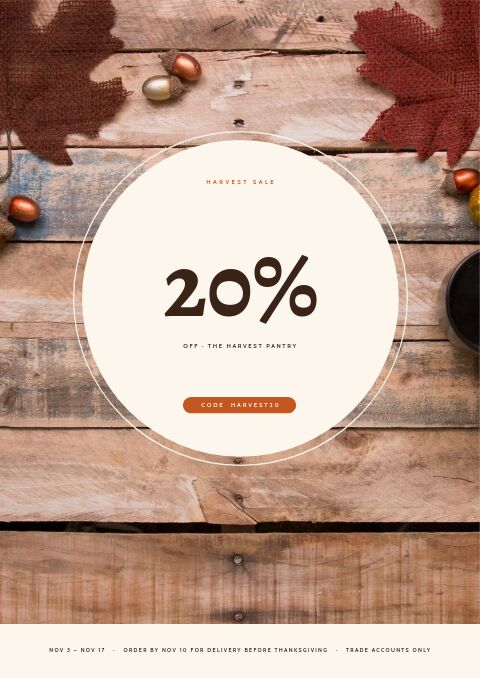 Thanksgiving Sale — Promo / Sale page