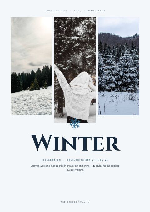 Winter Collection — Cover · poster page
