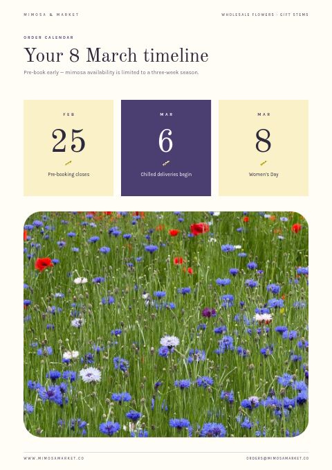 Women’s Day 8 March — Event / Launch page