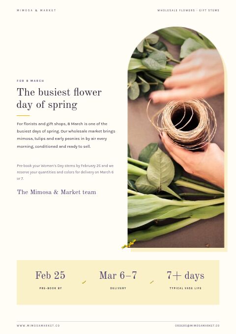 Women’s Day 8 March — Welcome / About page