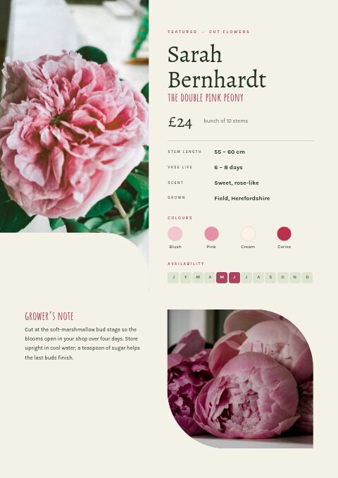 Garden & Floral — Featured Product page