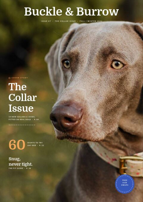 Pet Supplies Premium — Cover · magazine page