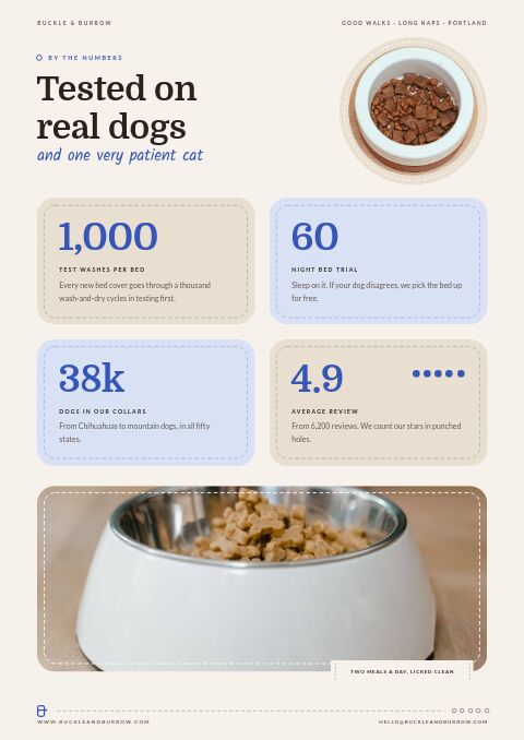 Pet Supplies Premium — By the Numbers page