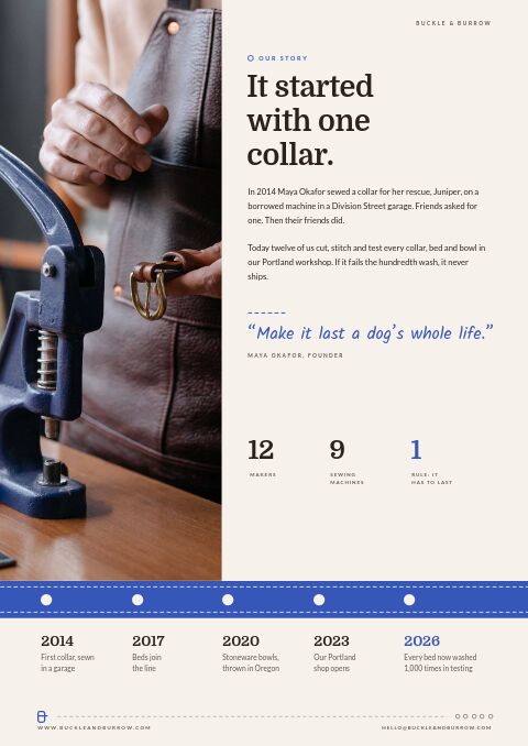 Pet Supplies Premium — Brand Story page