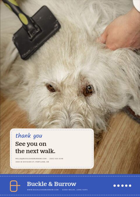 Pet Supplies Premium — Back Cover page