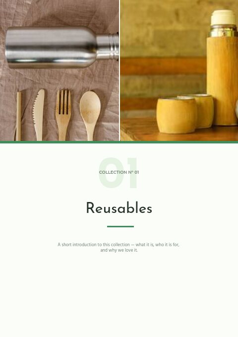 Eco-Friendly Products — Divider page