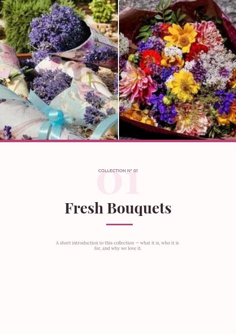 Flowers & Gifts — Divider page