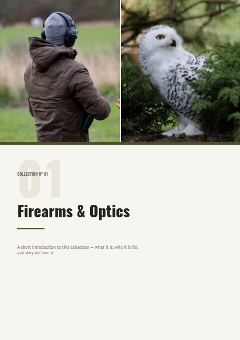 Hunting — Divider page