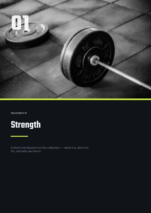 Forge Fitness — Divider page